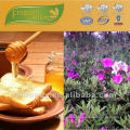 pure natural polyfloral honey for sale